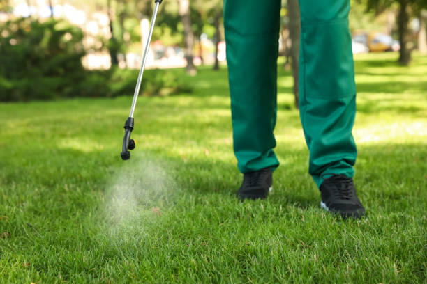 Best Mosquito Control Services  in Central Islip, NY