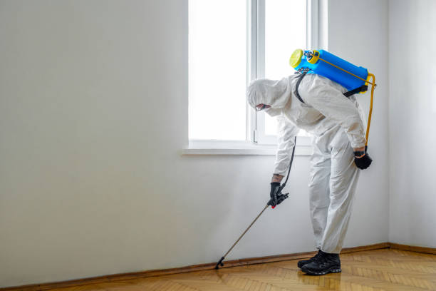 Flea Control Services in Central Islip, NY
