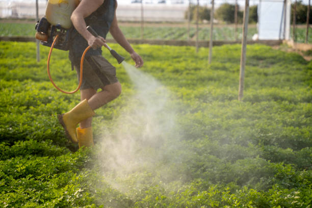 Best Commercial Pest Control Services  in Central Islip, NY