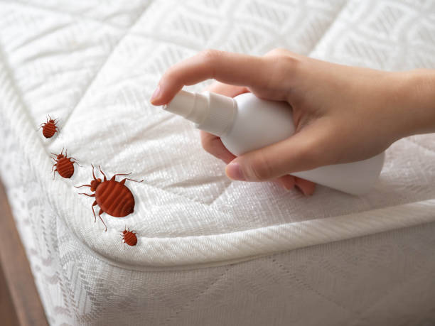 Best Pest Control for Businesses  in Central Islip, NY
