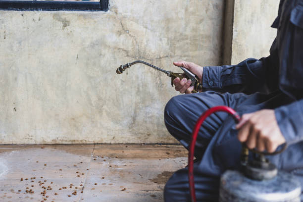 Best Best Pest Control Companies  in Central Islip, NY