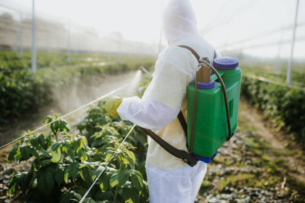 Trusted Central Islip, NY Pest Control Experts